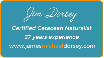 jim dorsey certified cetacean naturalist